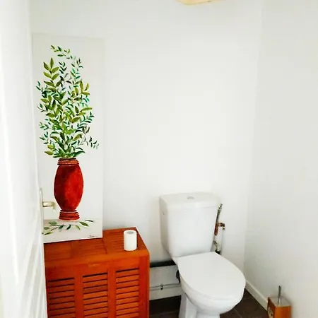 Luxe Tropical - Edouard - Centre * Royan