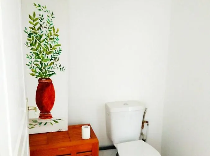 Luxe Tropical - Edouard - Centre * Royan